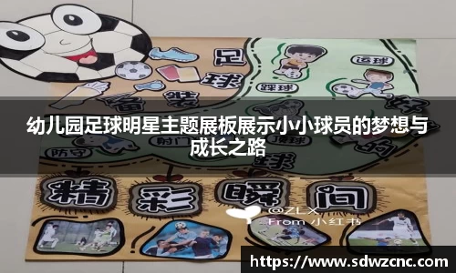 星空·综合体育官网