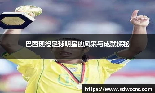 巴西现役足球明星的风采与成就探秘