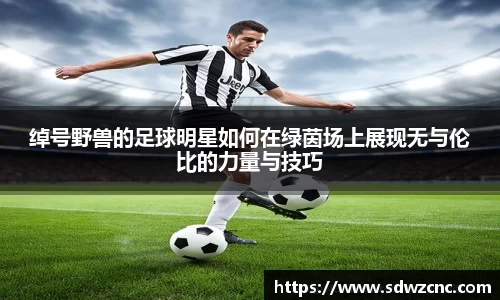 绰号野兽的足球明星如何在绿茵场上展现无与伦比的力量与技巧